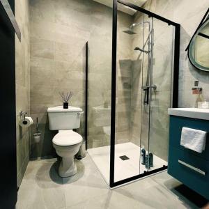 a bathroom with a toilet and a glass shower at Stone Barn Cottage In Galway Countryside in Athenry