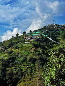 Příroda nedaleko vily