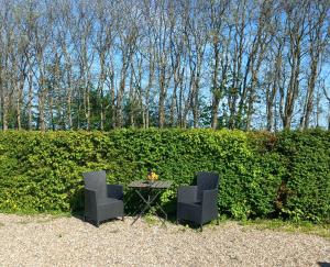 two chairs and a table in front of a hedge at LilleLandsted Knechtekammer in Vojens