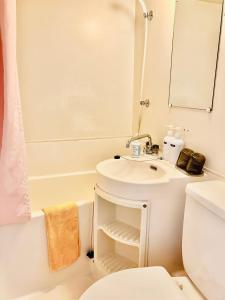a bathroom with a sink and a toilet and a mirror at Petit Hotel and Restaurant Air Mail in Hakuba +17 photos