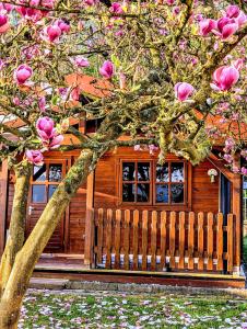 a wooden house with a fence and a tree with pink flowers at Ferienhaus am See Wutzsee mit direktem Seezugang in Lindow