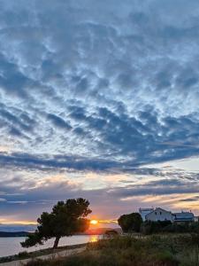 un arbre sur la plage avec un coucher de soleil en arrière-plan dans l'établissement Seaside Serenity "Rose" with pool, 150m from sea, à Sukošan