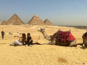 Majutusasutuse Grand Golden Pyramids View Hotel külastajad