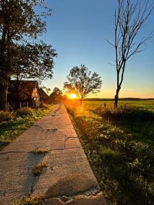 an empty road with the sunset in the background at Ferien-und Bauernhof Gauster in Trebel +18 photos