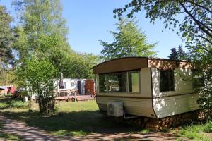 an old rv parked in a field next to a tree at Tinyhaus idyllisch am Waldesrand in Cottbus