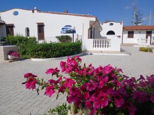 a bouquet of pink flowers in front of a building at Villa Nunziatella Badia in Trappeto