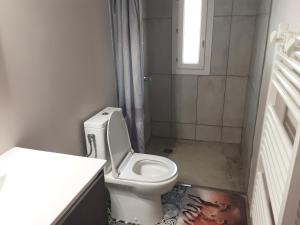 a small bathroom with a toilet and a shower at Le box,magnifique pavillon privé in Rigaud +13 photos