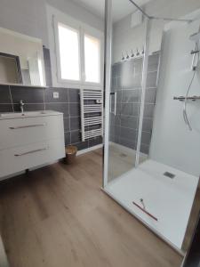 a bathroom with a shower and a sink and a mirror at Hébergement le Cèdre in Lavaur