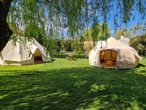 a group of tents in a field under a tree at Aldwark Bridge Glamping - Lunar Tent in Aldwark