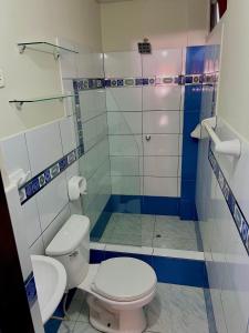 a bathroom with a toilet and a shower at Habitación premium y moderna in La Merced
