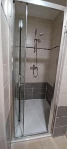a shower with a glass door in a bathroom at Appartement entre Sisteron et Gorges de la Méouge " Les Hauts de Toscane " in Ribiers +49 photos