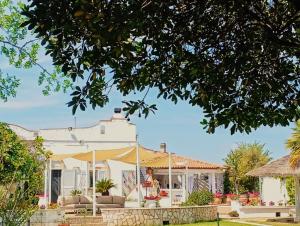 Zahrada ubytování B&B Le Vele