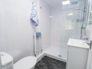 Vannituba majutusasutuses Cuddfan at Swallow Cottage +15 fotot