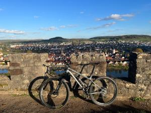 a bike parked on top of a stone wall at Apartment Magnolia in Karlstadt