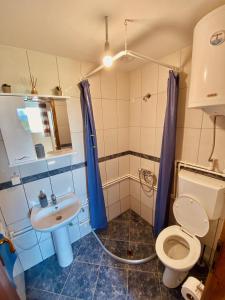 Koupelna v ubytování Holiday Home Apartman Aco