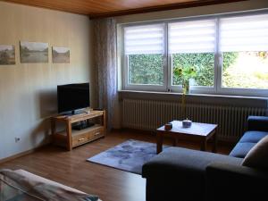 a living room with a couch and a tv and two windows at Ferienwohnung Hochwald in Nonnweiler
