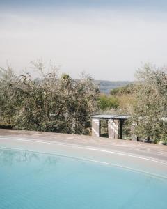 Bazén v ubytování Agriturismo La Valle Di Vico nebo v jeho okolí