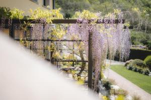 Zahrada ubytování Agriturismo La Valle Di Vico