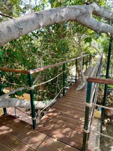 Gallery image of The Secret Treehouse in Hersonissos