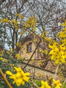 En have udenfor Вілла Білий Бізон Хмелева