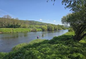 Naturlandschaft in der Nähe des Bed & Breakfasts