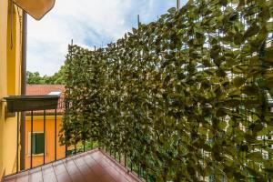 a large green plant on the side of a building at Cosy apratment near PortaVescovo train station in Verona