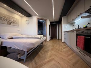 Kuchyň nebo kuchyňský kout v ubytování Attersee Apartments