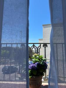 Fotografie z fotogalerie ubytování stanza zaffiro azzurro v destinaci Ostuni