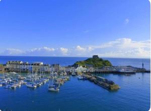 a group of boats are docked in a harbor at St James Dairy in Ilfracombe