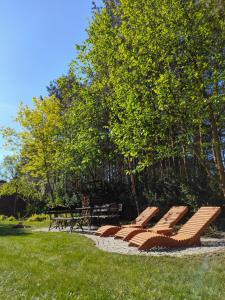 a group of chairs and picnic tables in a park at Domek Hortensja in Zawady