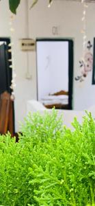 Fotografie z fotogalerie ubytování Golden Rich Hotel v destinaci Arugam Bay