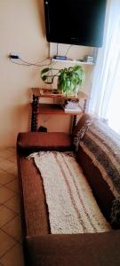 ein Wohnzimmer mit Sofa und Fernseher in der Unterkunft Alojamiento FARAH in Caviahue