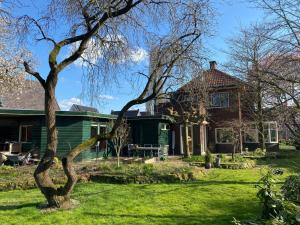 a green house with a tree in the yard at Huize De Kol in Holten