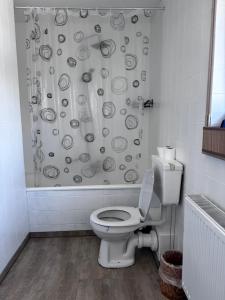 a bathroom with a toilet and a shower curtain at Ferienhaus Allgäu in Center Parc Nähe - Stadtnah - Parkplatz - Balkon in Leutkirch im Allgäu +9 photos