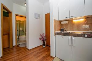 Küche/Küchenzeile in der Unterkunft Apartment Iva