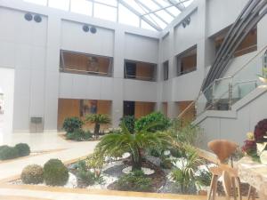 A garden outside Tio Sea Resort
