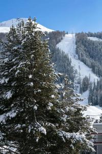 two snow covered christmas trees on a ski slope at Modern Alpine Stay Terrace Central Davos in Davos