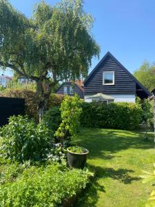 卑尔根Tiny House De Oude Berg的一座有房子和树的院子