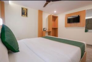 TV a/nebo společenská místnost v ubytování Hotel Crystal Place