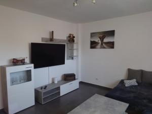 Μια τηλεόραση ή/και κέντρο ψυχαγωγίας στο Ferienwohnung Ella