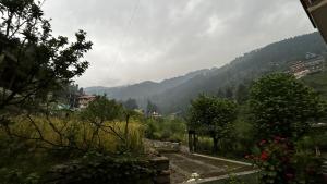 Fotografie z fotogalerie ubytování Kashwika Stays Jibhi v destinaci Jibhi