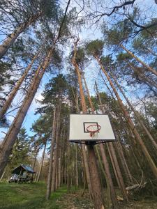 a basketball hoop in a forest with trees at Vila Fruškogorski Mir in Velika Remeta