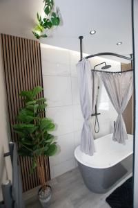 a bathroom with a toilet and a plant at The White House near Edinburgh in Bathgate +30 photos