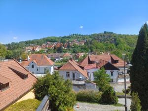 a view of a village with houses and trees at Penzion Bluegrass in Český Krumlov
