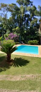 a palm tree in front of a swimming pool at Sitio Oliveira Ibiuna in Ibiúna
