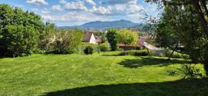 a green yard with a hammock in the grass at Green Home in Furth im Wald