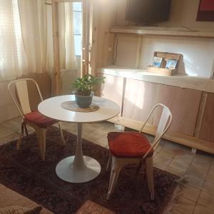 a table with two chairs and a table with a plant on it at Taller de artista in Colonia del Sacramento +2 photos