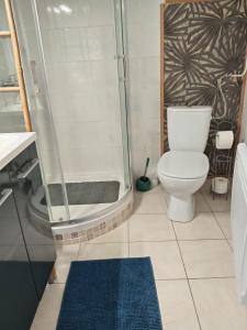 a bathroom with a shower and a toilet at Location saisonniere in Cozes +6 photos