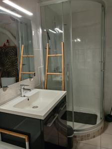 a bathroom with a sink and a shower at Location saisonniere in Cozes