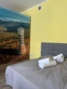 Ένα ή περισσότερα κρεβάτια σε δωμάτιο στο Apartament Salamandra Uno